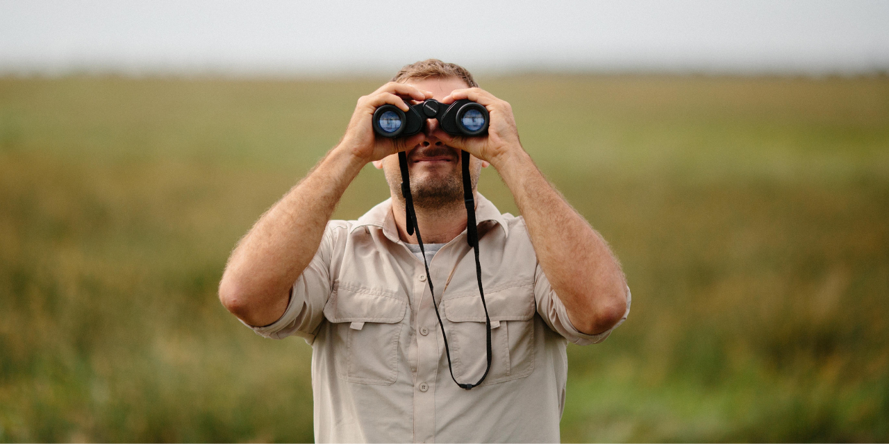 Untangling The Web Of Search Engine Optimization